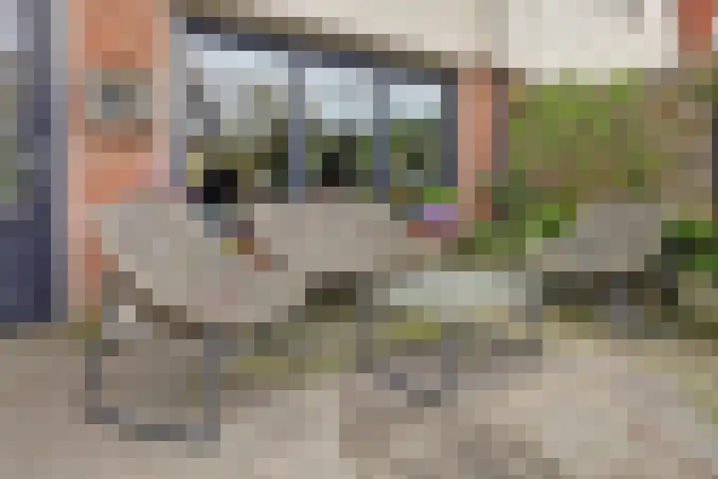 Middelgat 37 Arnemuiden thumbnail 29