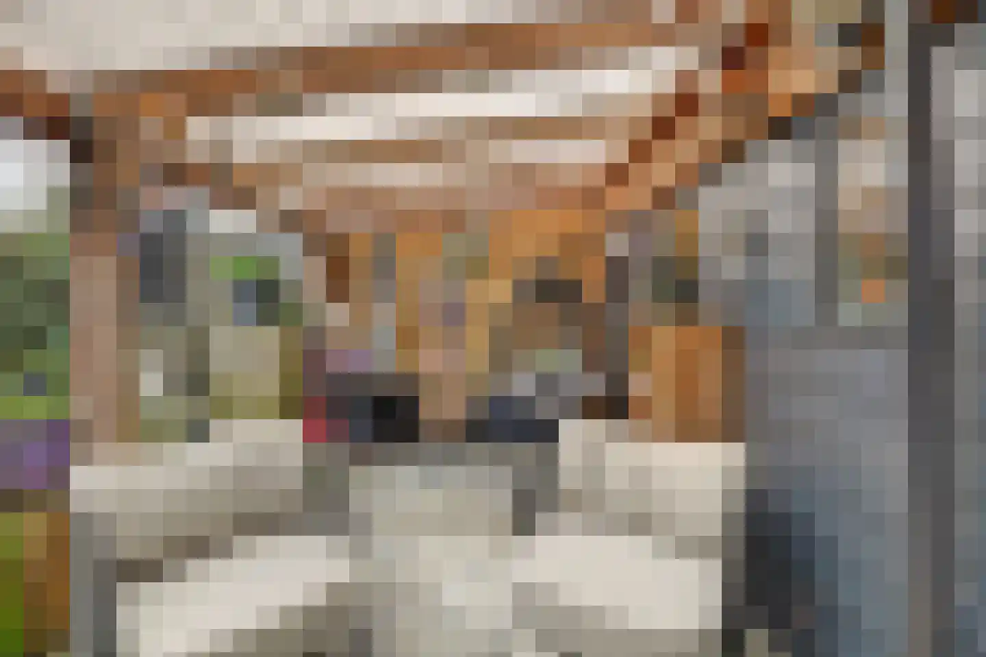 Middelgat 37 Arnemuiden thumbnail 34