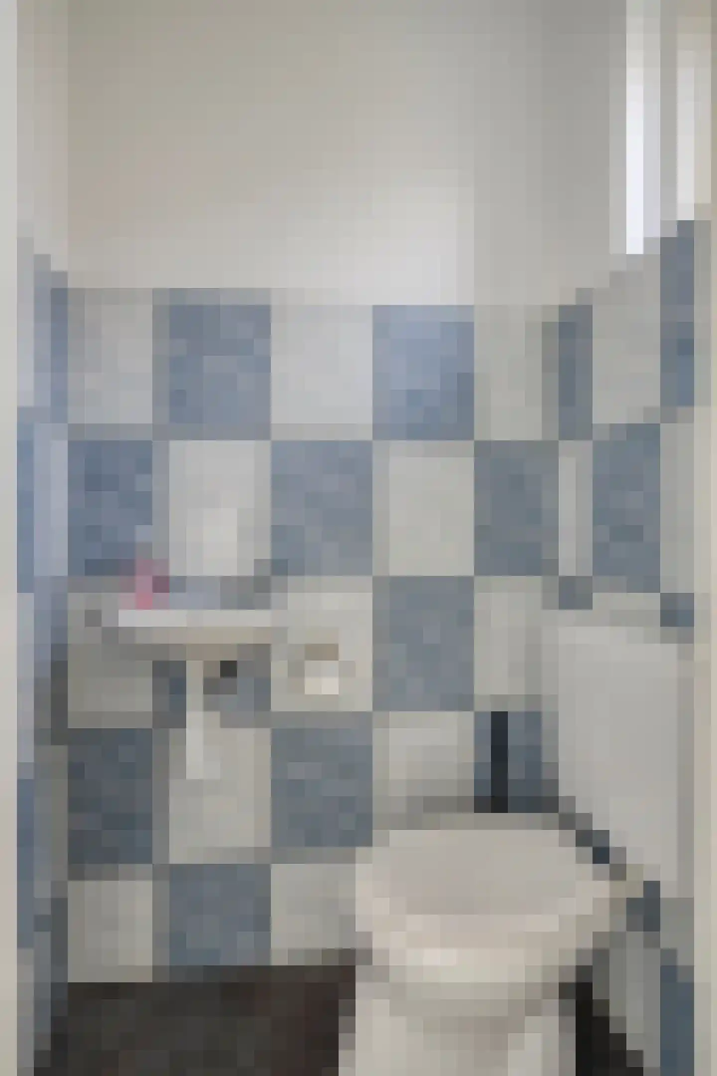 Middelgatstraat 2 Lewedorp thumbnail 19