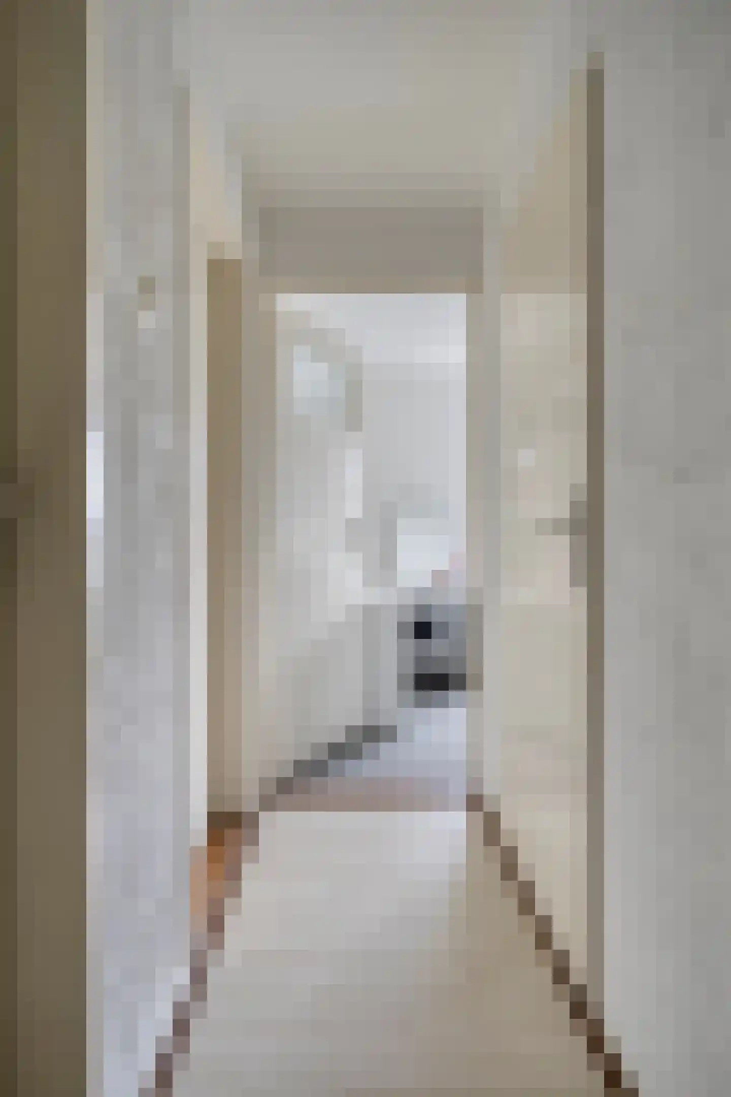 Middelgatstraat 2 Lewedorp thumbnail 21
