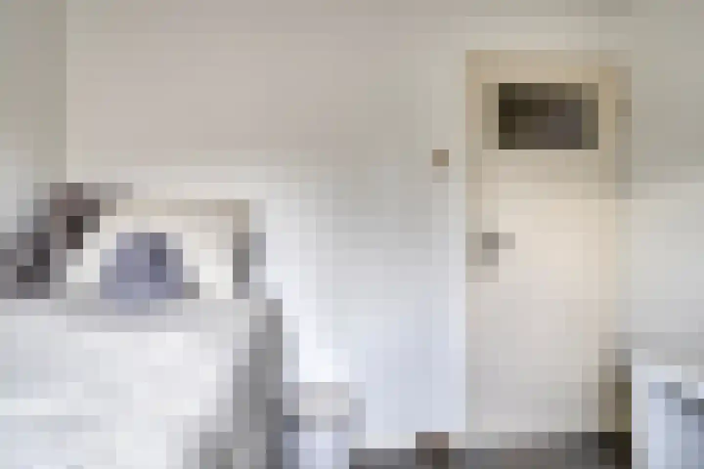 Middelgatstraat 2 Lewedorp thumbnail 30