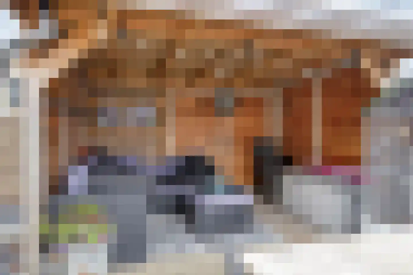 Middelgatstraat 2 Lewedorp thumbnail 40