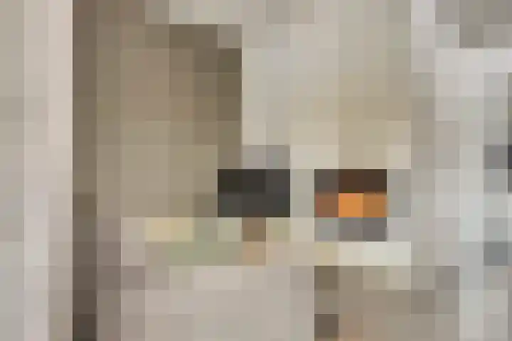 Middelgatstraat 7 Lewedorp thumbnail 12