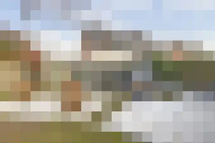 Middelgatstraat 7 Lewedorp thumbnail 32