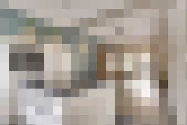 Middelgatstraat 7 Lewedorp thumbnail 6