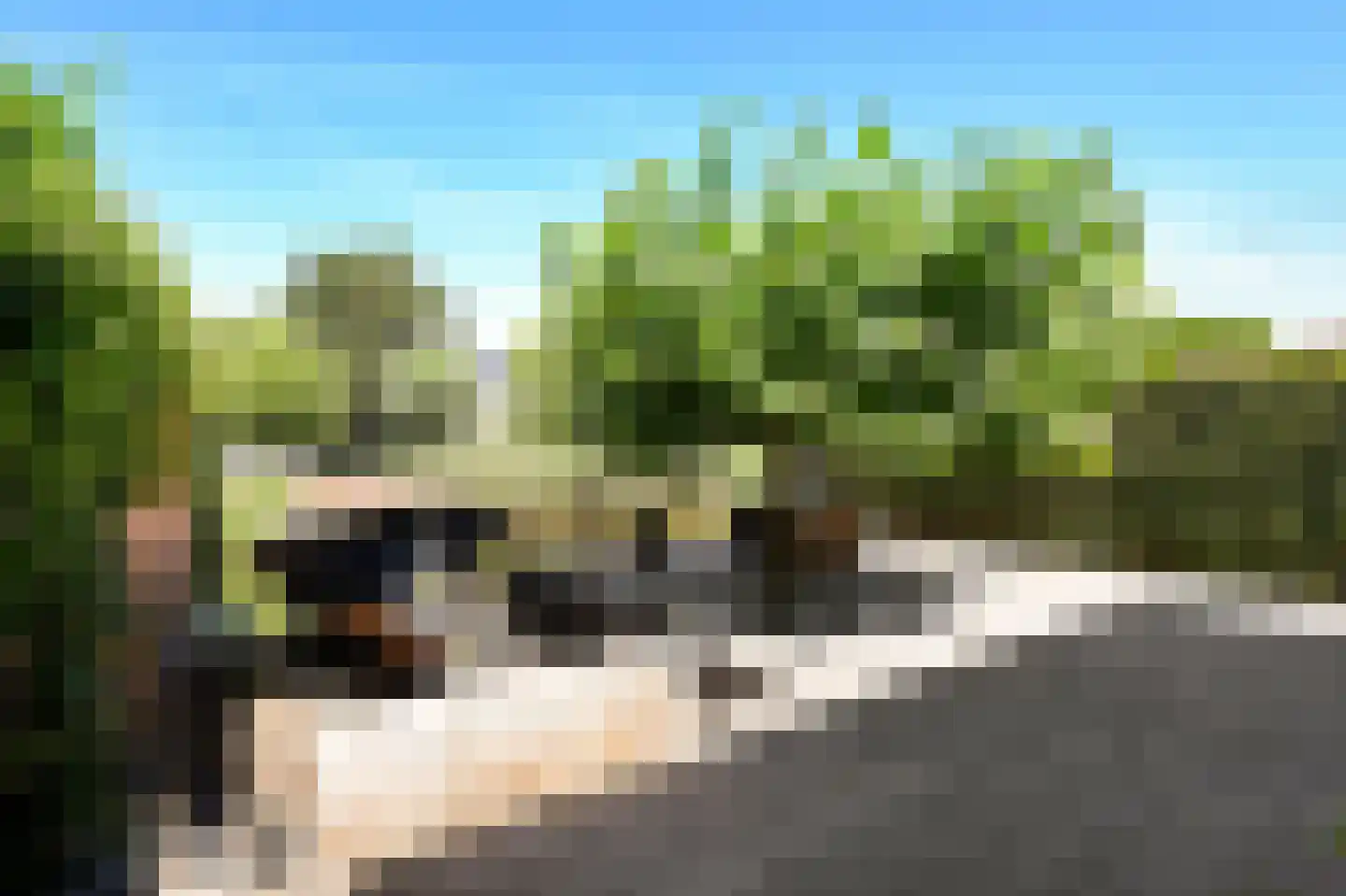 Middelgeestlaan 63 Voorschoten thumbnail 17