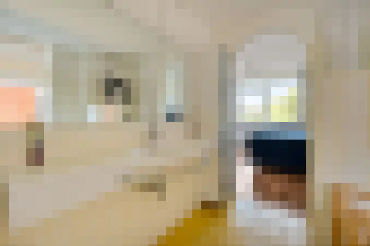 Middelgeestlaan 63 Voorschoten thumbnail 22