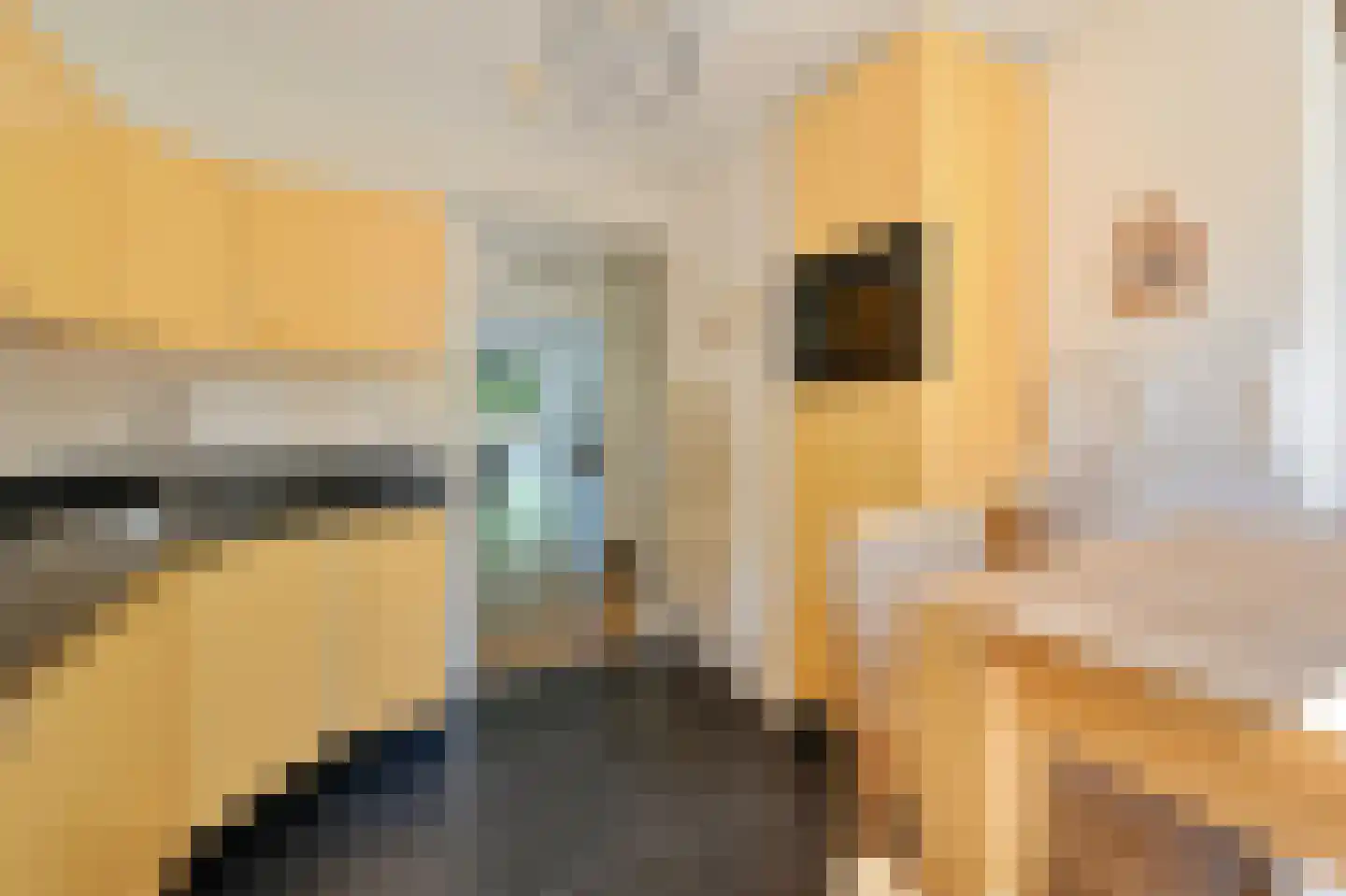 Middelgeestlaan 63 Voorschoten thumbnail 9