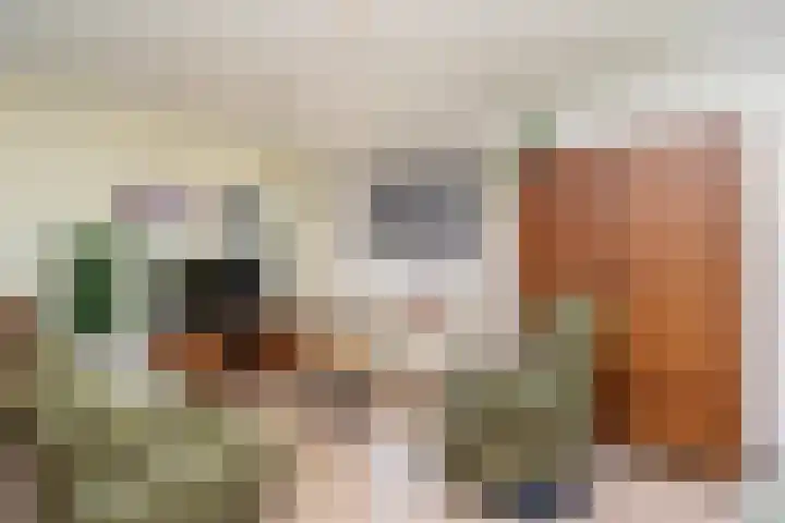 Middelgraaf 22 Tilburg foto 2