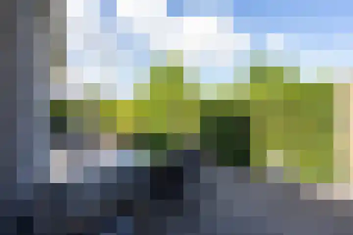 Middelgraaf 22 Tilburg thumbnail 30