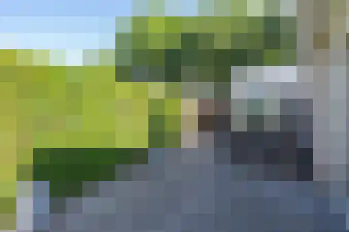 Middelgraaf 22 Tilburg thumbnail 32