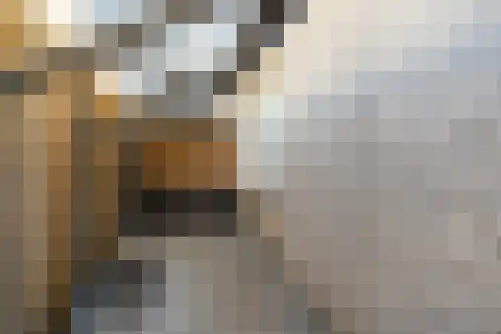 Middelgraaf 22 Tilburg thumbnail 33