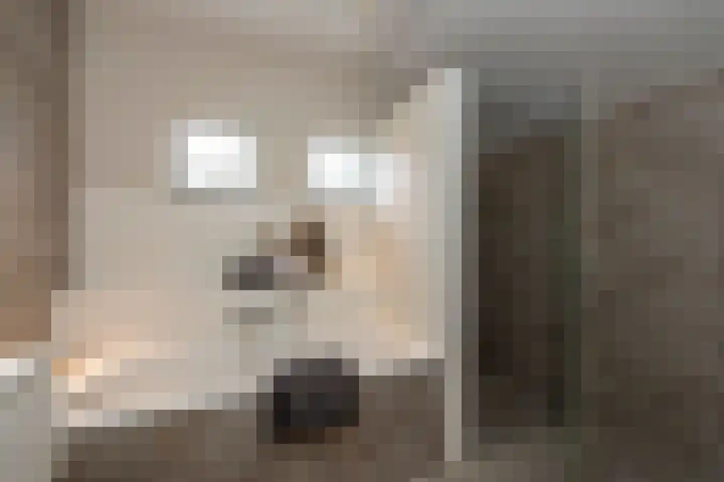 Middelgraaf 42 Tilburg thumbnail 20