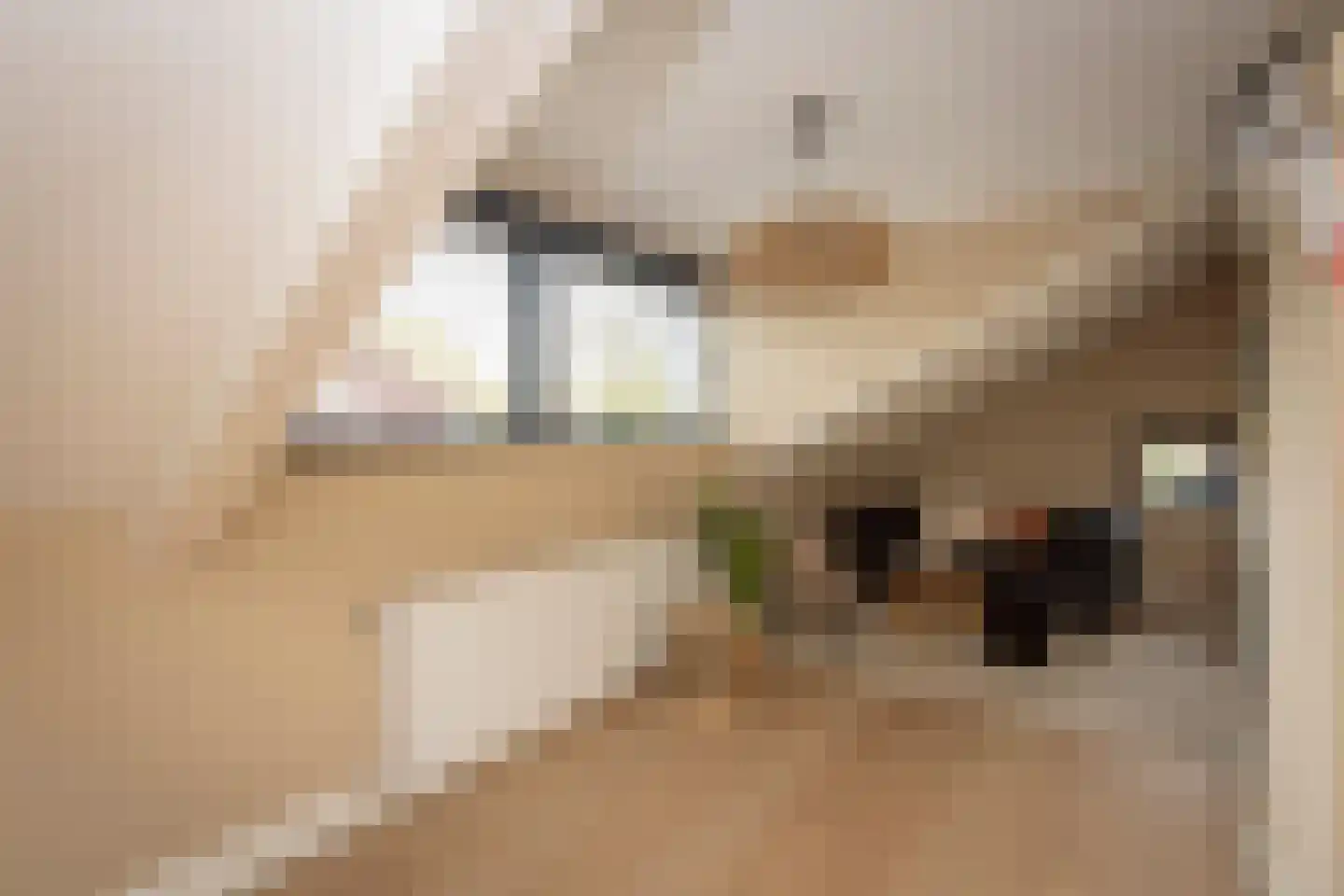 Middelgraaf 42 Tilburg thumbnail 50