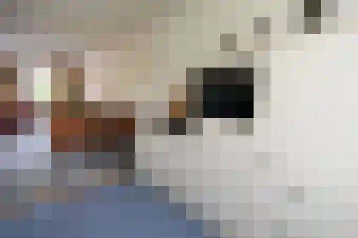 Middelgraaf 45 Tilburg thumbnail 18