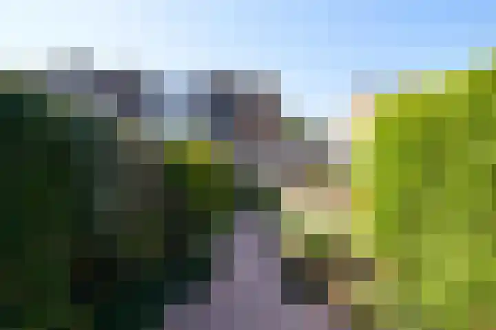 Middelgraaf 45 Tilburg thumbnail 35