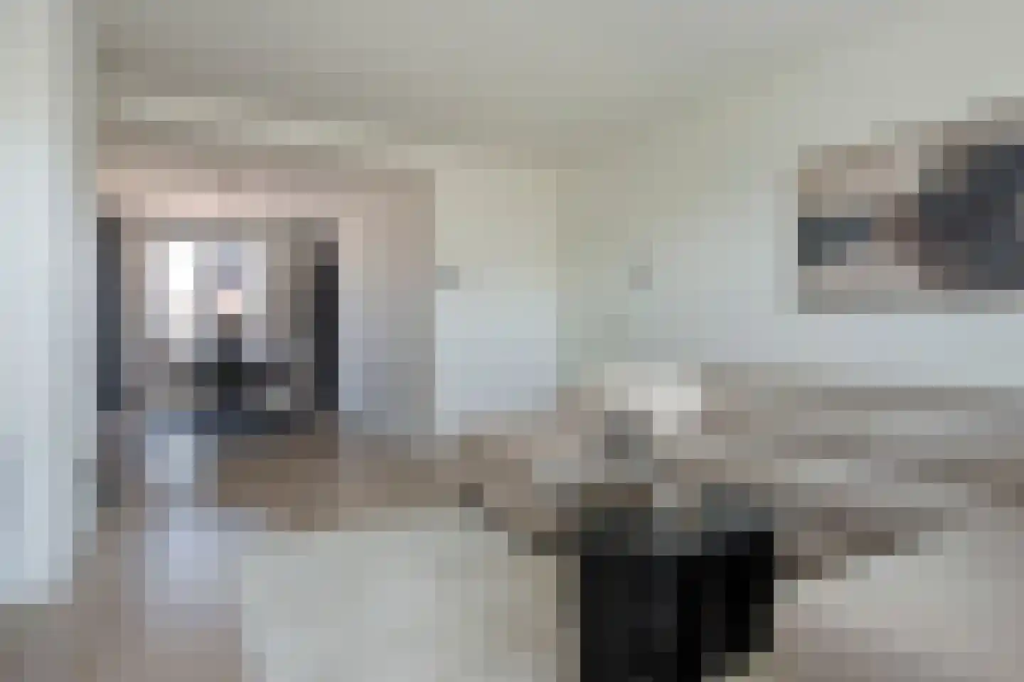 Middelgraaflaan 51 2 Arnhem thumbnail 8