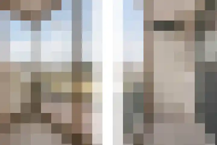 Middelgraaflaan 59 1 Arnhem thumbnail 4
