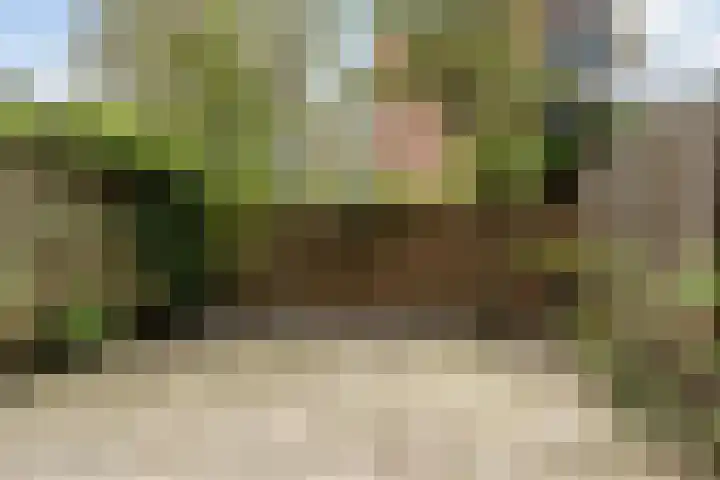 Middelgraafpad 73 Arnhem thumbnail 5