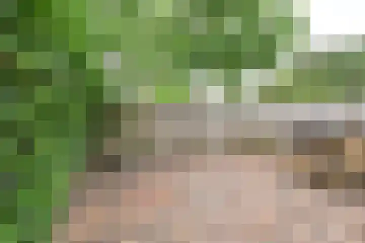 Middelgronden 14 Huizen thumbnail 14
