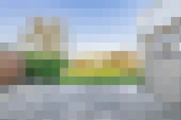 Middelgronden 15 Lemmer thumbnail 22