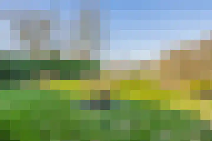 Middelgronden 15 Lemmer thumbnail 23