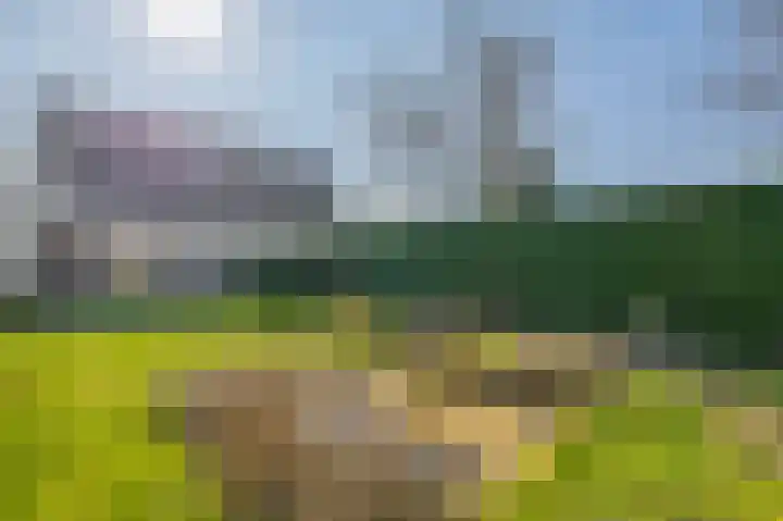 Middelgronden 15 Lemmer thumbnail 24