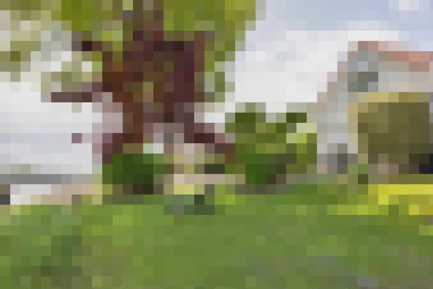 Middelgronden 17 A Makkum thumbnail 37