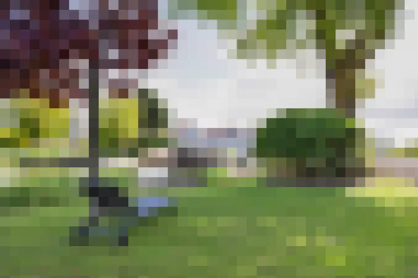 Middelgronden 17 A Makkum thumbnail 4