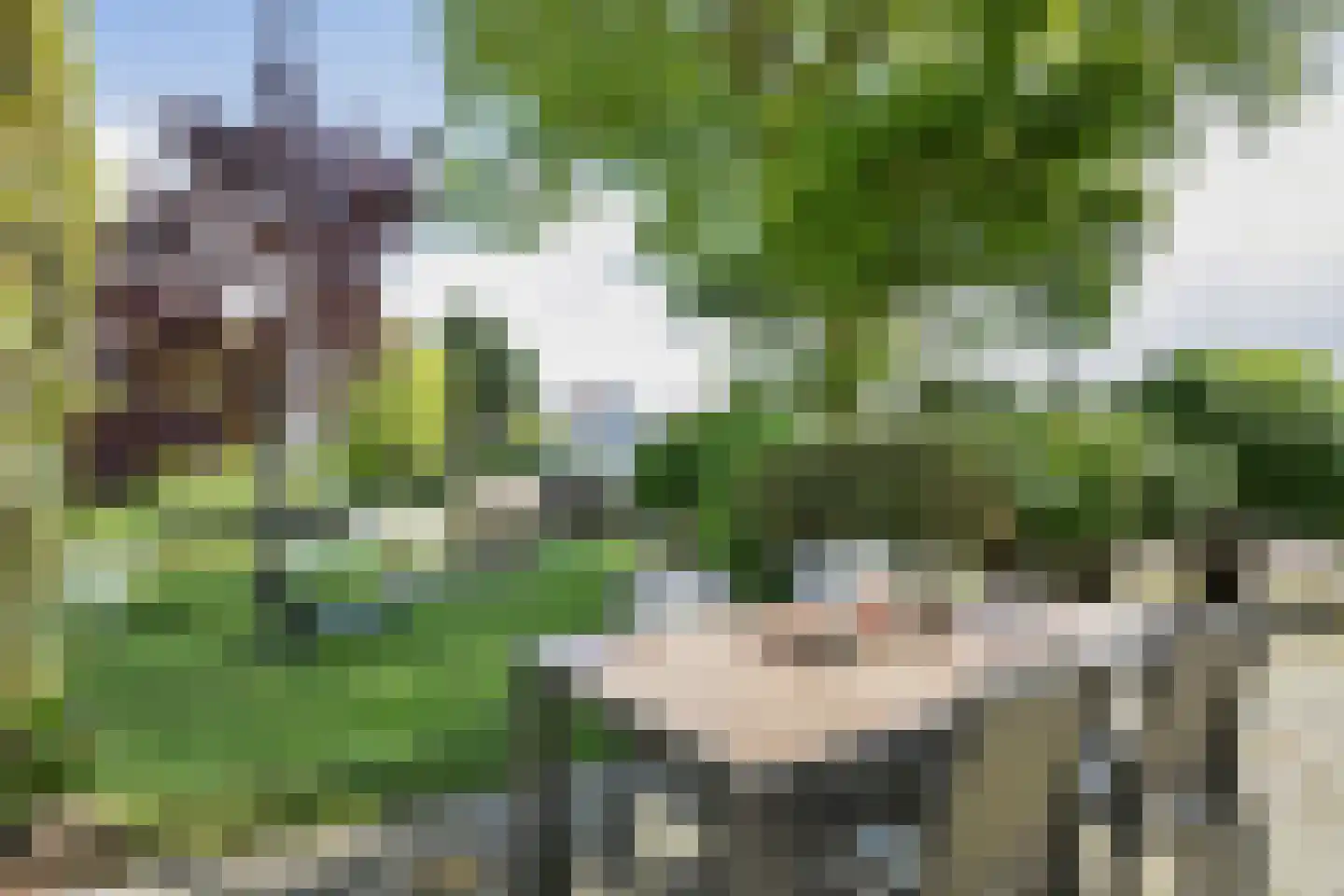 Middelgronden 17 A Makkum thumbnail 41