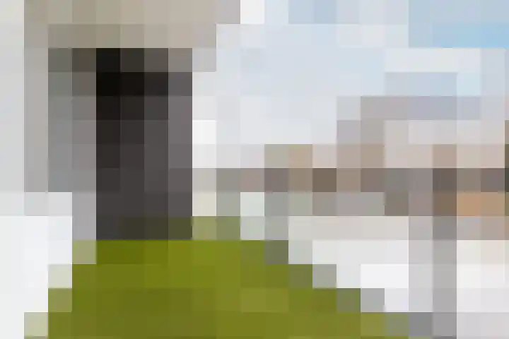 Middelgronden 2 B Lelystad thumbnail 13
