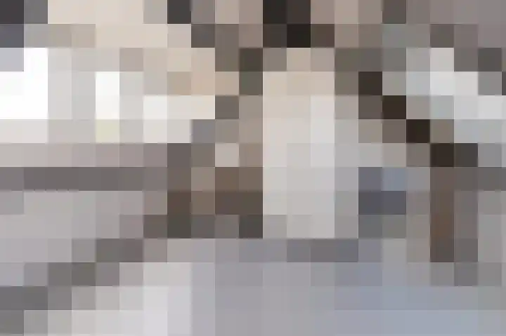 Middelgronden 21 Huizen thumbnail 17