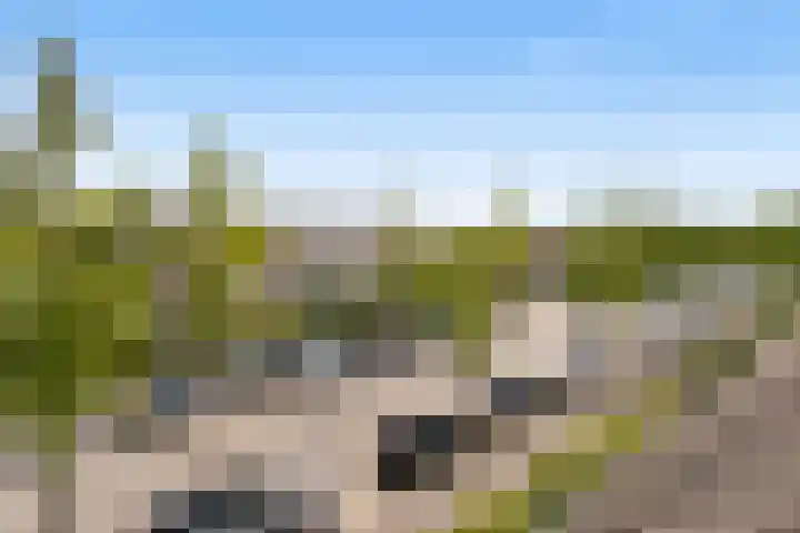Middelgronden 21 Huizen thumbnail 19
