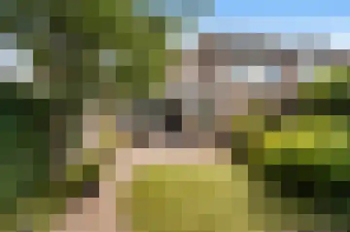 Middelgronden 21 Huizen thumbnail 20