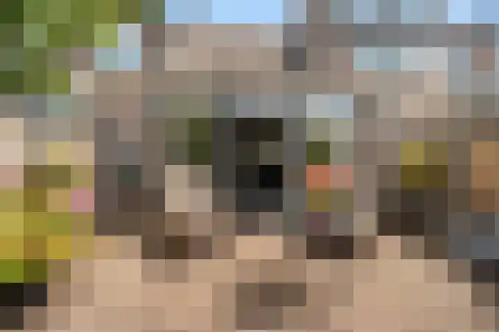 Middelgronden 21 Huizen thumbnail 21