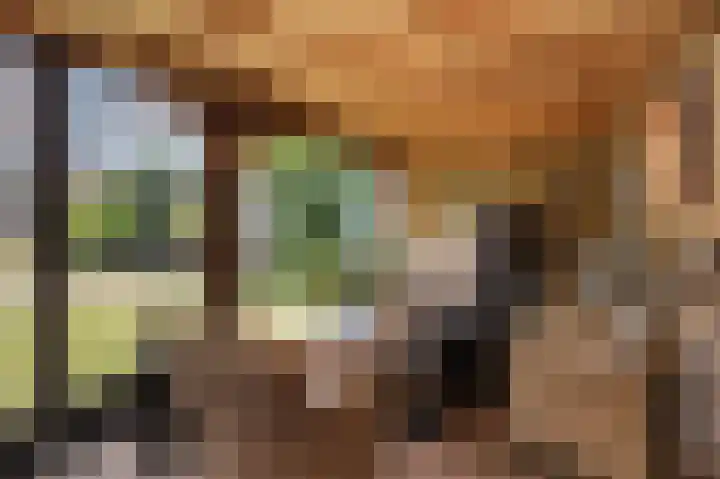Middelgronden 21 Huizen thumbnail 22