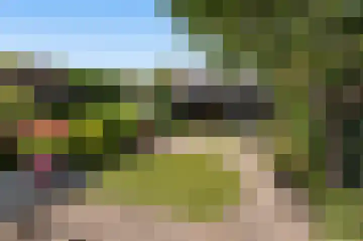 Middelgronden 21 Huizen thumbnail 4