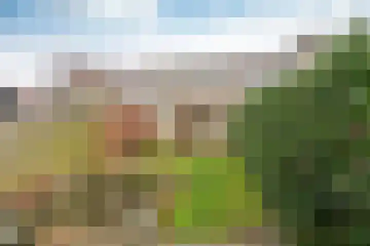 Middelgronden 24 Huizen thumbnail 12