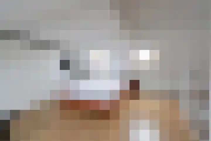 Middelgronden 24 Huizen thumbnail 9