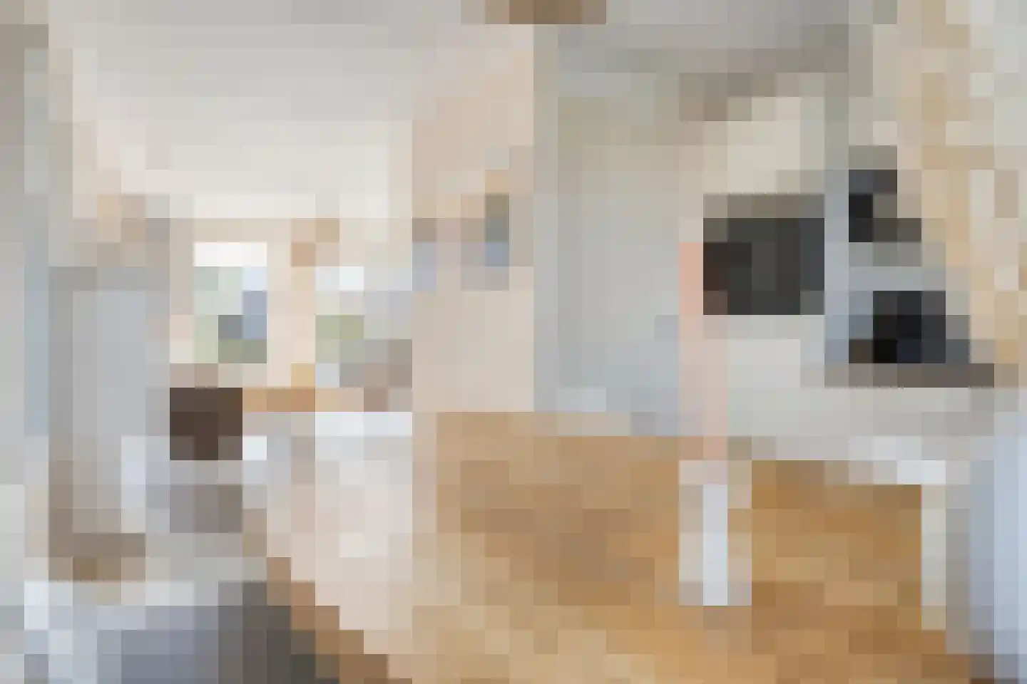 Middelgronden 29 Makkum thumbnail 17