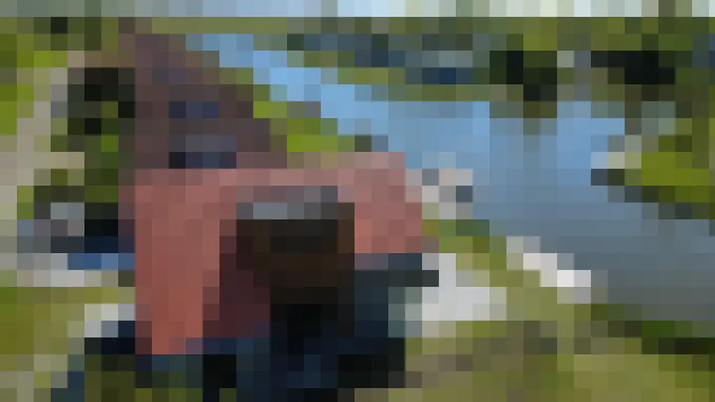 Middelgronden 4 Makkum thumbnail 5