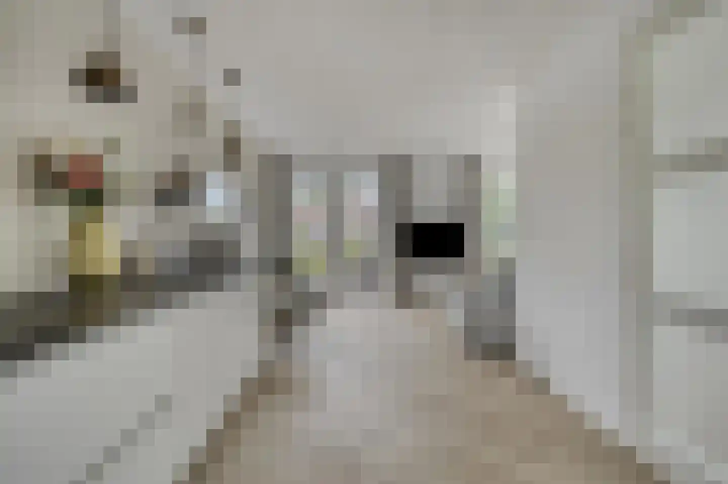 Middelgronden 4 Makkum thumbnail 9