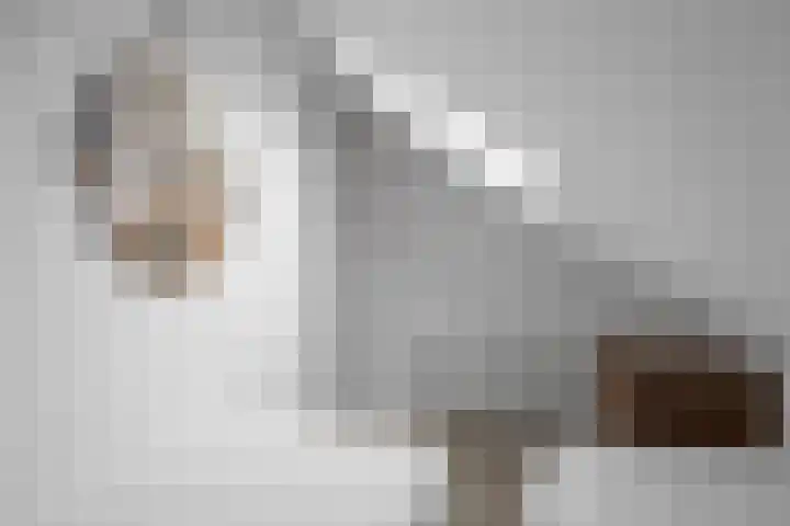 Middelgronden 44 Makkum thumbnail 21