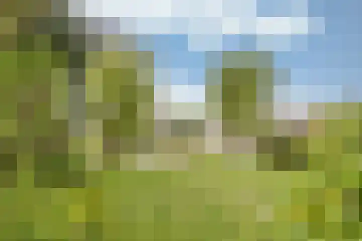 Middelgronden 44 Makkum thumbnail 27