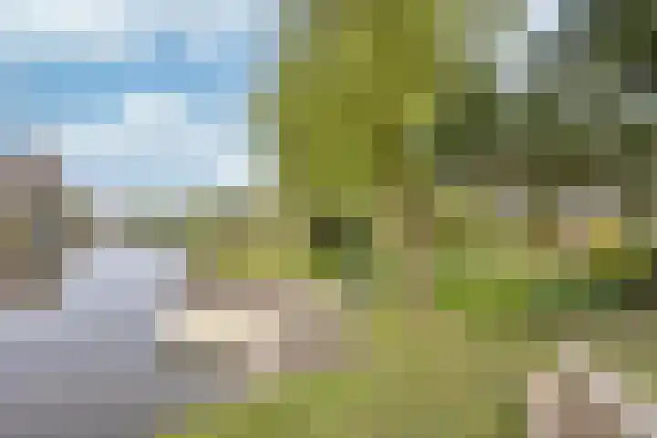 Middelgronden 44 Makkum thumbnail 28