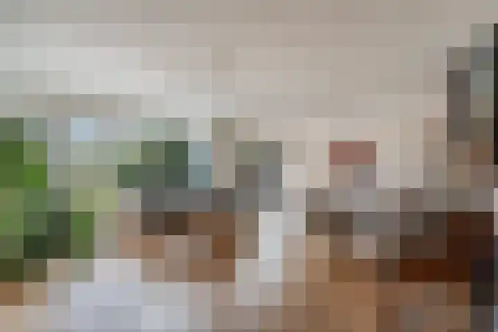 Middelgronden 52 Huizen thumbnail 10