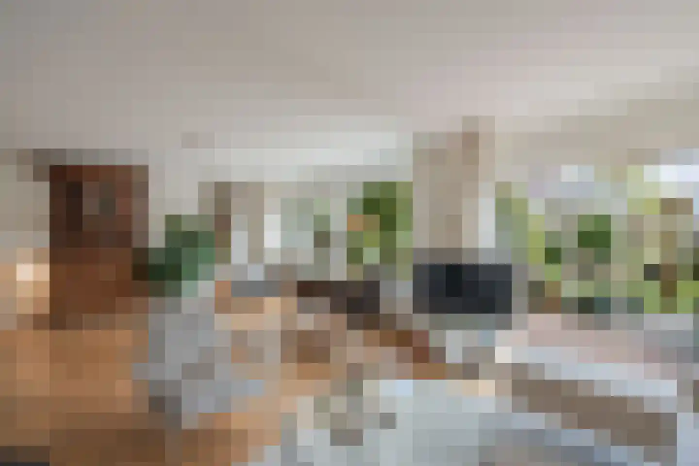 Middelgronden 52 Huizen thumbnail 12