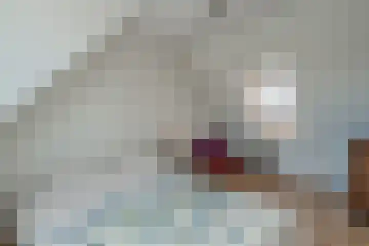 Middelgronden 52 Huizen thumbnail 31