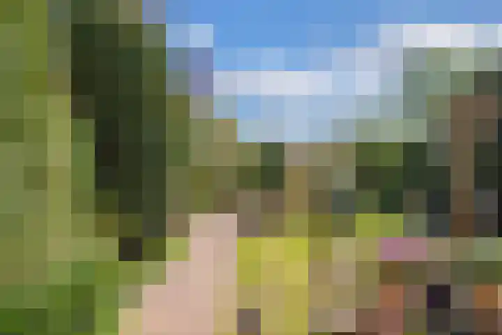 Middelgronden 52 Huizen thumbnail 35