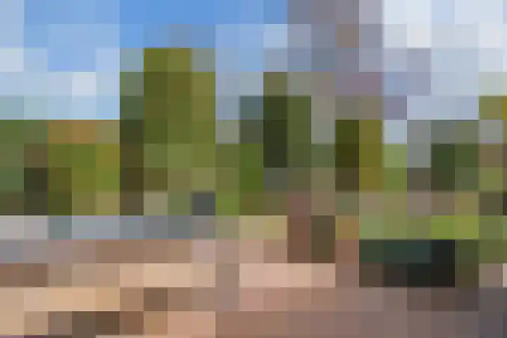 Middelgronden 52 Huizen thumbnail 36